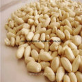 Chinese New Crop Blanched Peanut Kernel